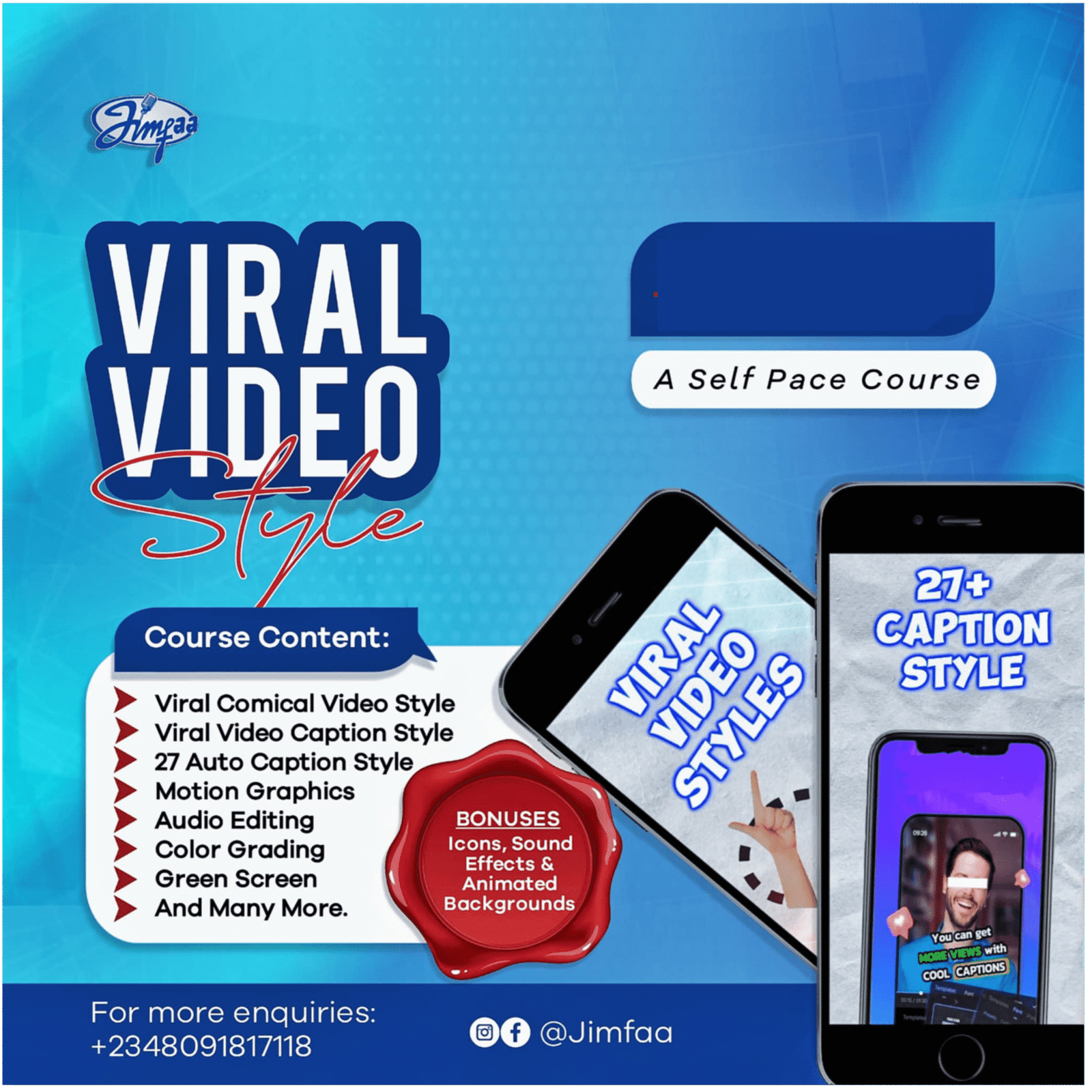 THE VIRAL VIDEO STYLE COURSE