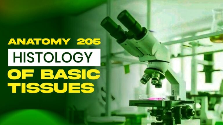 Anatomy 205 Histology of Basic Tissues