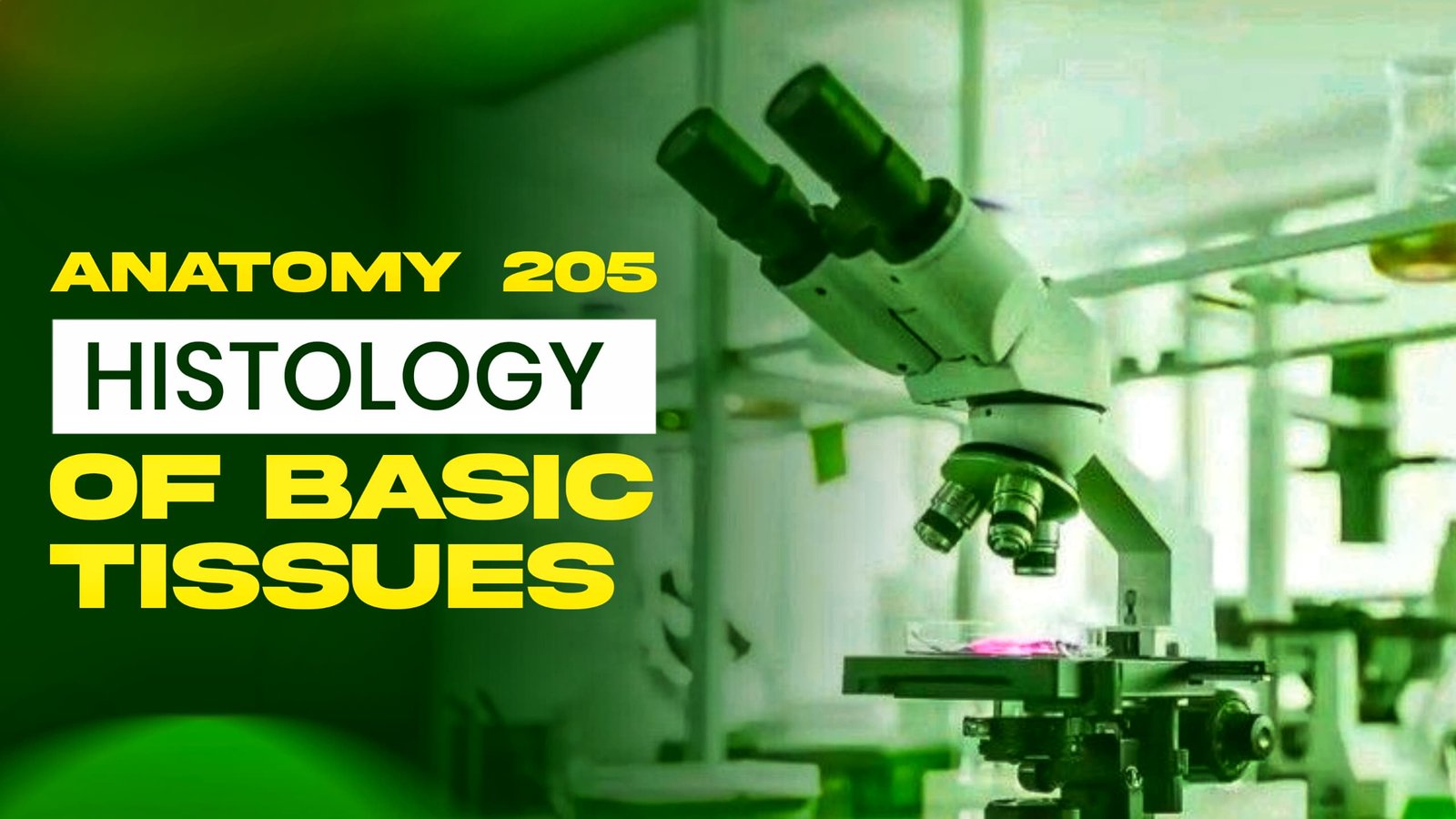 Anatomy 205 Histology of Basic Tissues